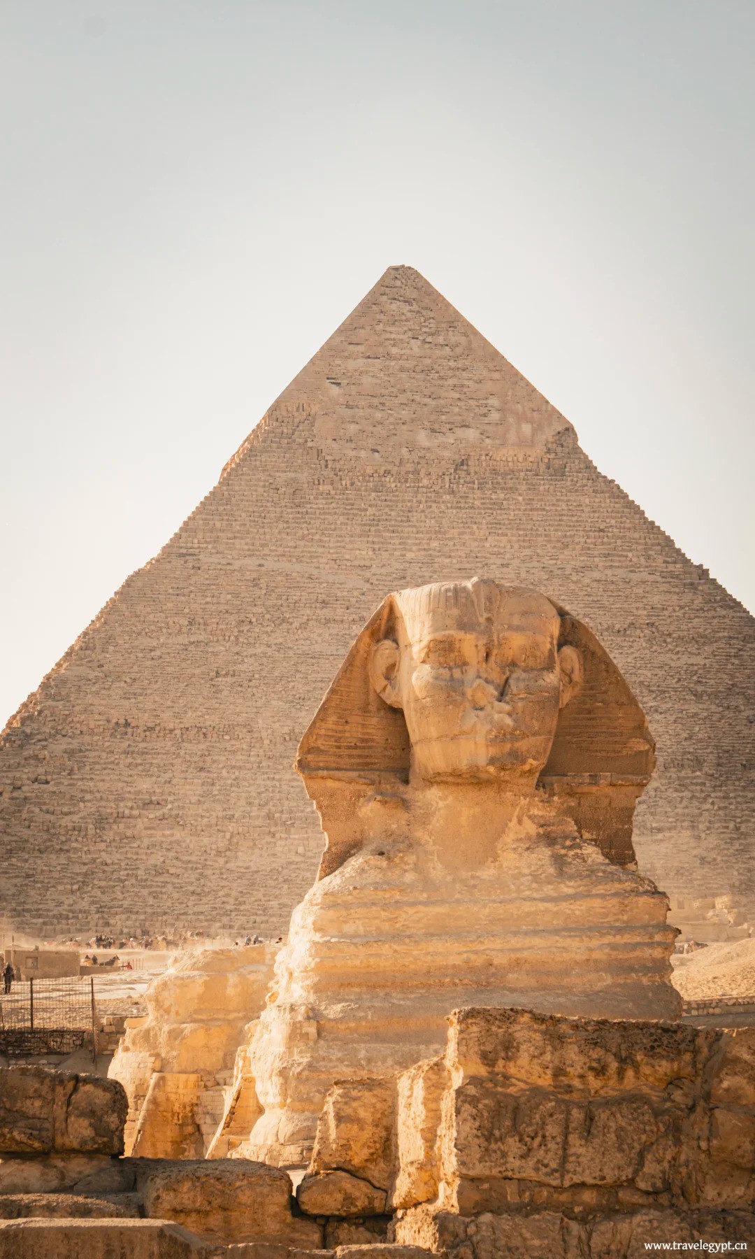 开罗｜金字塔前站谁都出片 拍照游览路线1版.jpg